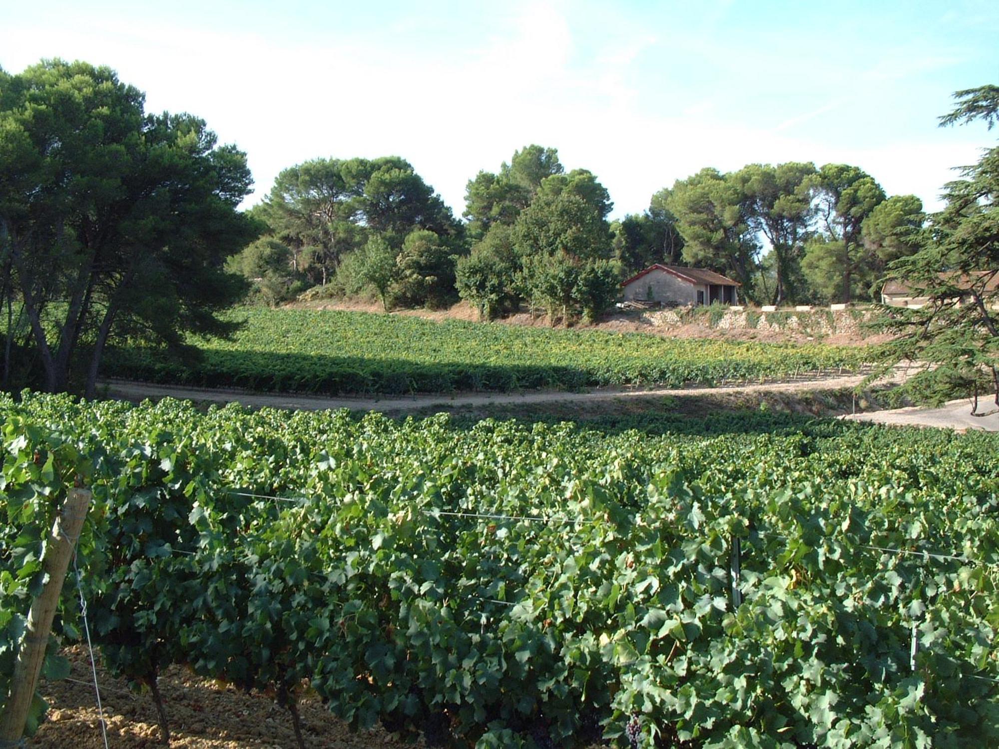 Chateau Saint Martin De Graves Aumes Εξωτερικό φωτογραφία